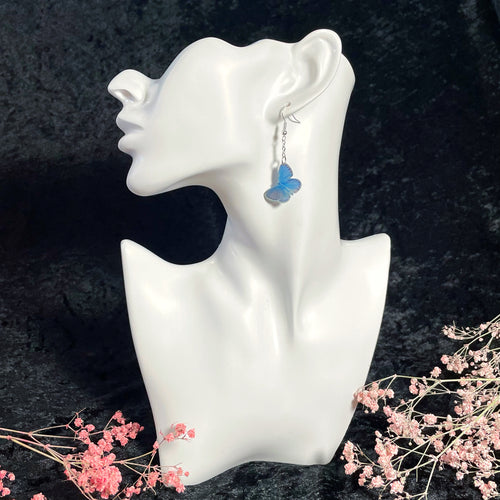 Kangassinisiipi-korvakorut